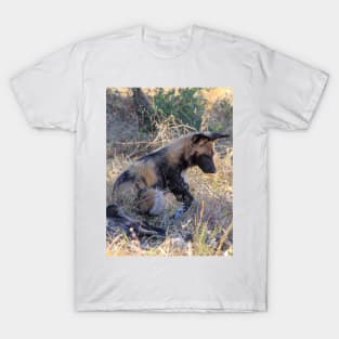 Wild dog sitting with its pack T-Shirt